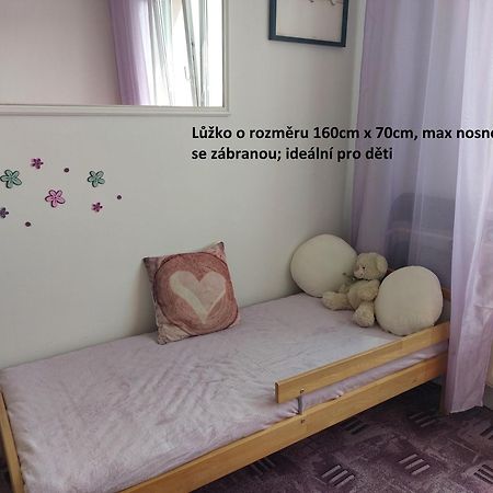 Apartman V Podhuri Krusnych Hor 索科洛夫 外观 照片