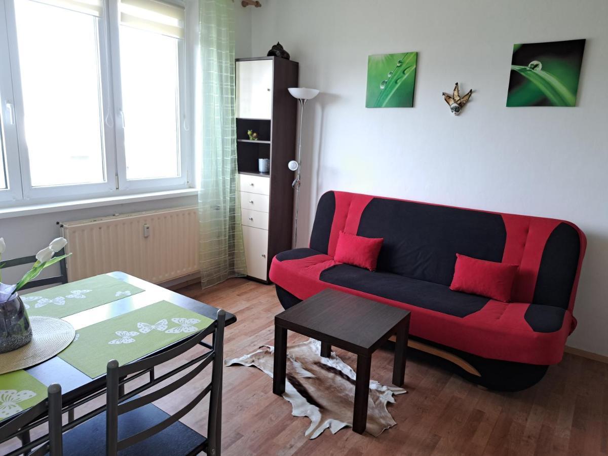 Apartman V Podhuri Krusnych Hor 索科洛夫 外观 照片