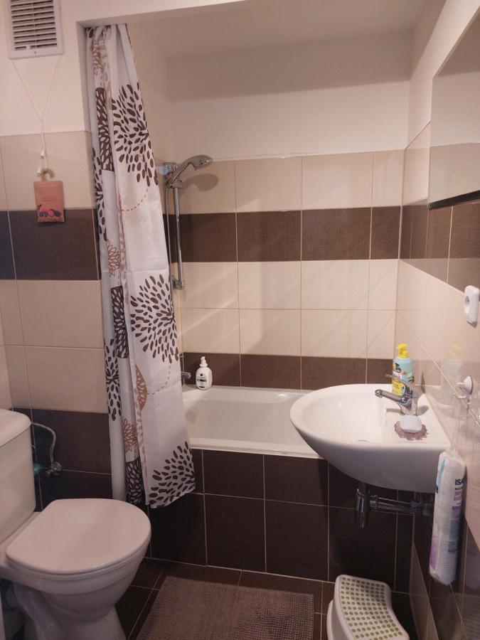 Apartman V Podhuri Krusnych Hor 索科洛夫 外观 照片