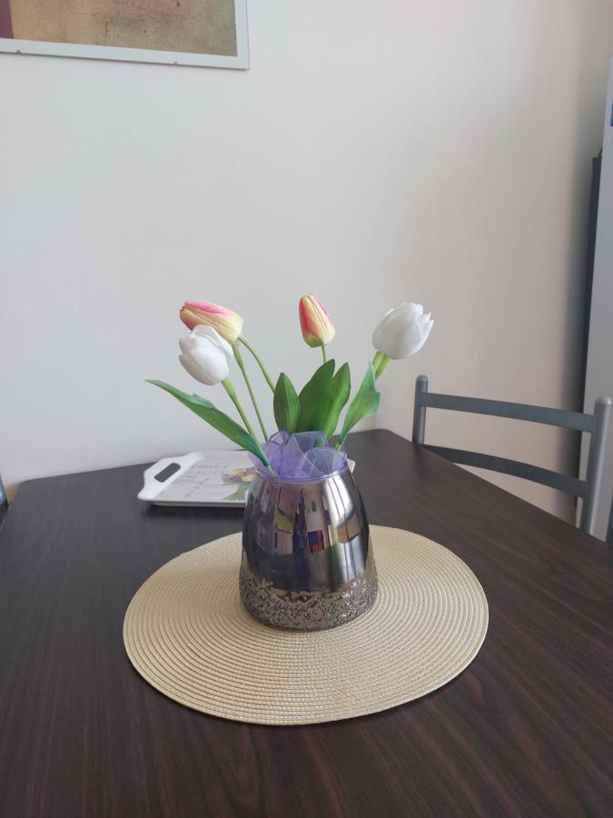 Apartman V Podhuri Krusnych Hor 索科洛夫 外观 照片