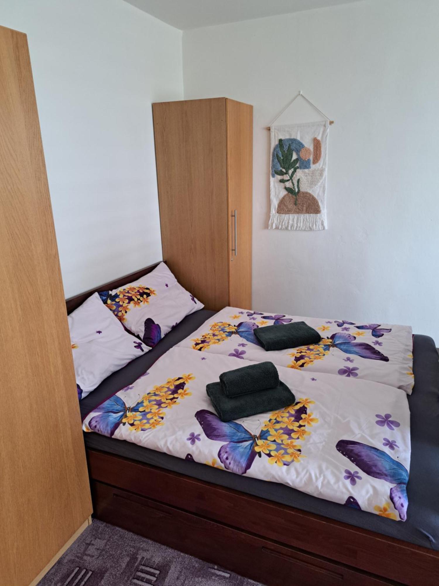 Apartman V Podhuri Krusnych Hor 索科洛夫 外观 照片